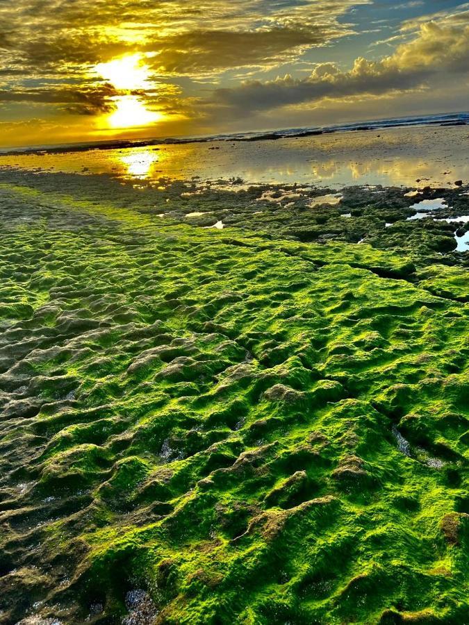 Paraiso Dos Corais กวาราจูบา ภายนอก รูปภาพ